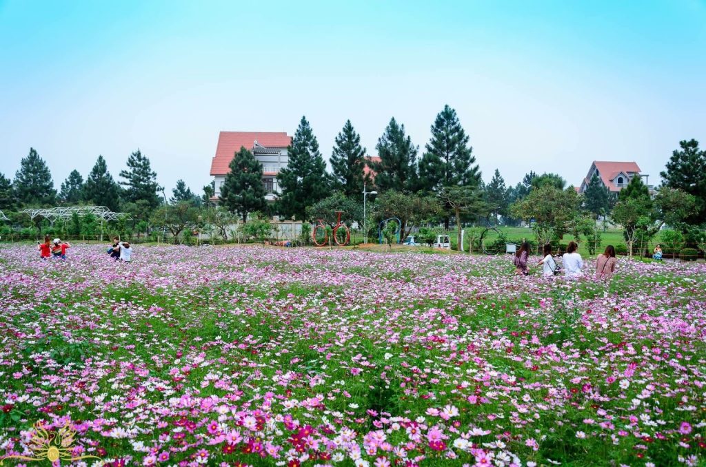 đất canh tác tại Đan Phượng